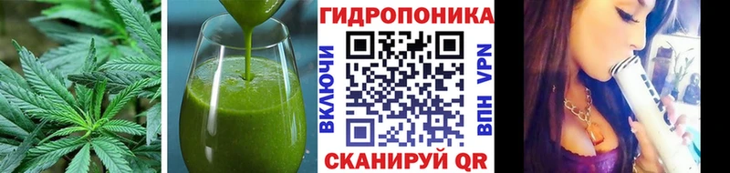 mega как зайти  Олёкминск  дарк нет как зайти  Еда ТГК марихуана 