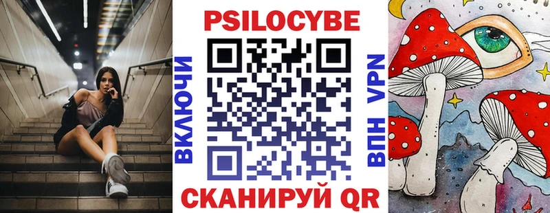 что такое наркотик  Олёкминск  Галлюциногенные грибы Cubensis 